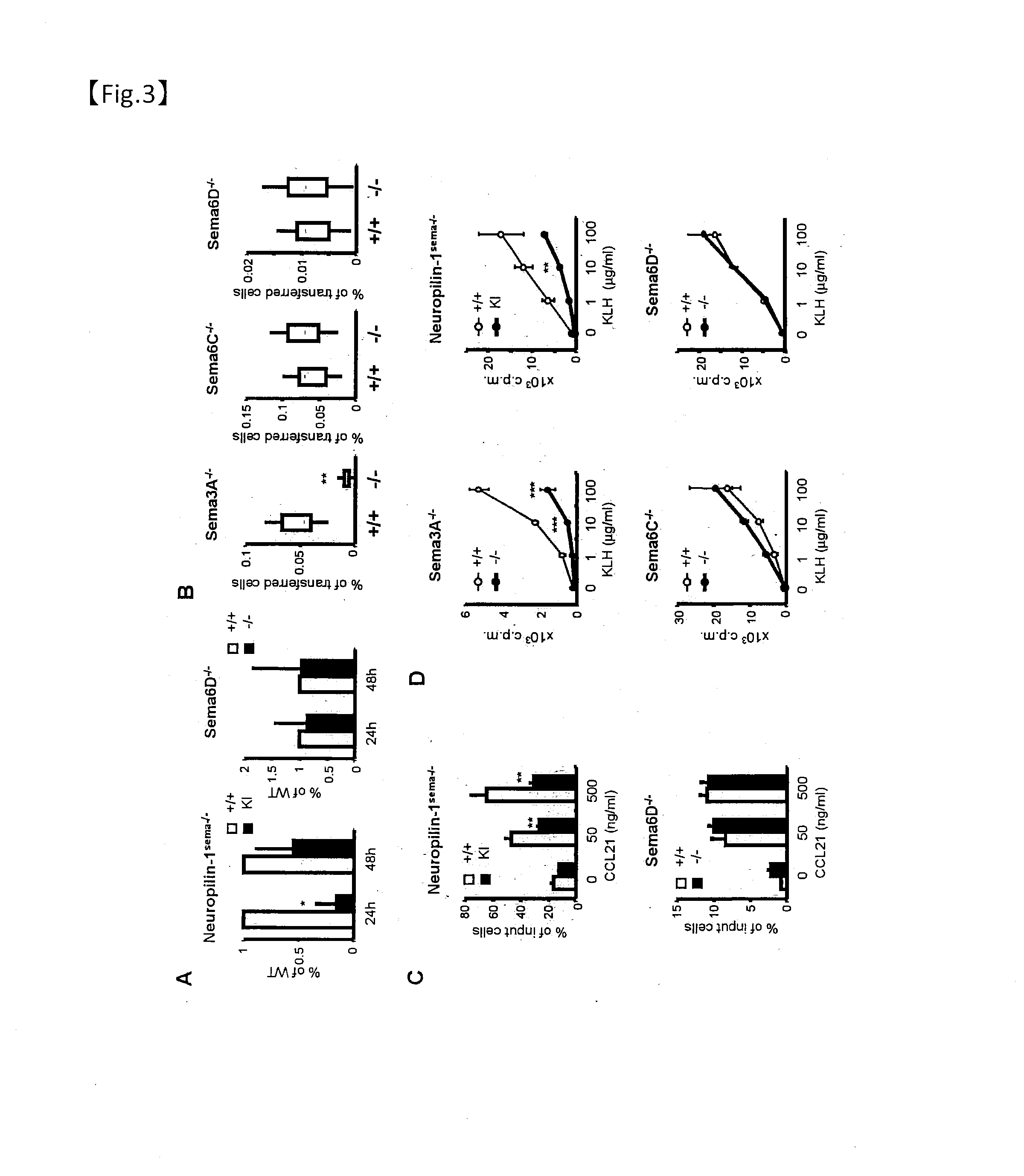 Therapeutic agent for autoimmune diseases or allergy, and method for screening for the therapeutic agent