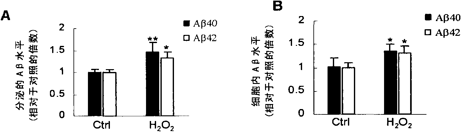 Function of small RNA molecule aiming at c-Jun amino terminal kinase of human for senile dementia