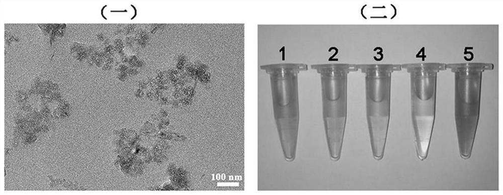 A kind of manganese dioxide-based nano drug carrier and its preparation method and application