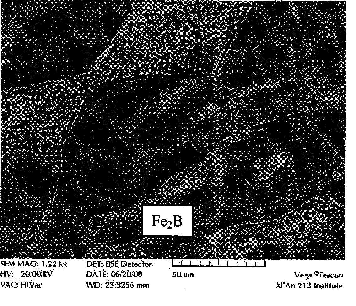 Toughening processing method of hard phase Fe2B in iron boron wear-resistant alloy