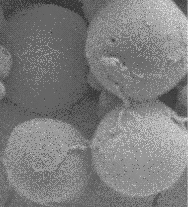 A kind of biodegradable emamectin benzoate microspheres