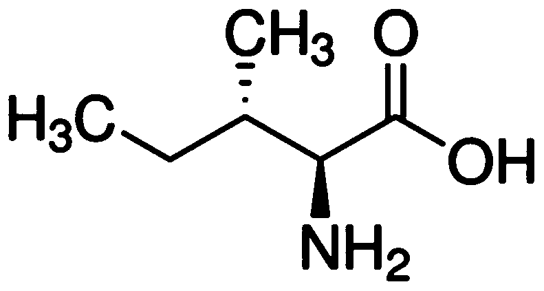 Method for simultaneously detecting contents of leucine, isoleucine and valine in blood