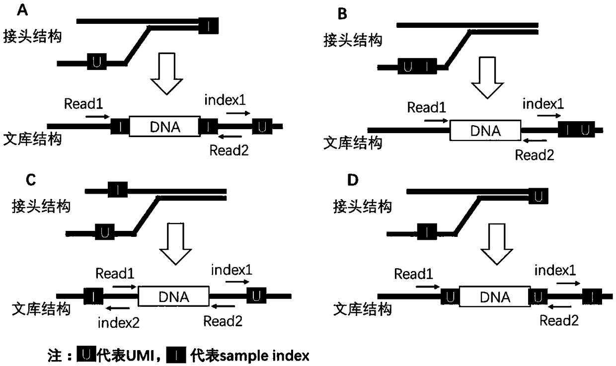 Double-terminal molecular tag connector, application thereof and sequencing library comprising same