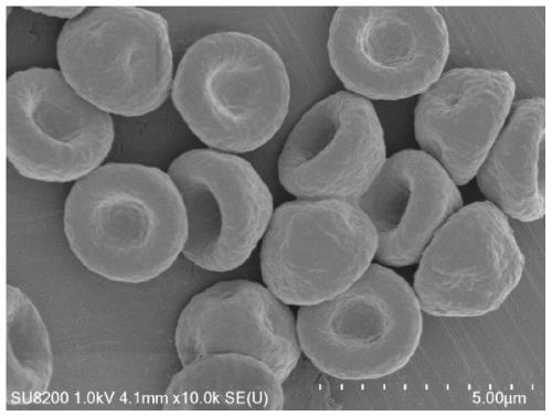 Red blood cell-like colloidal particle and spherical colloidal particle assembly, preparation method and application thereof