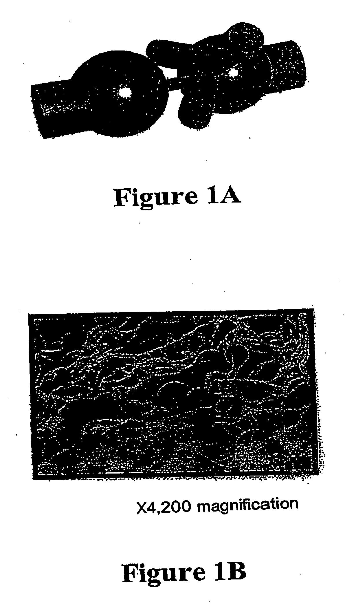 Carrier molecules