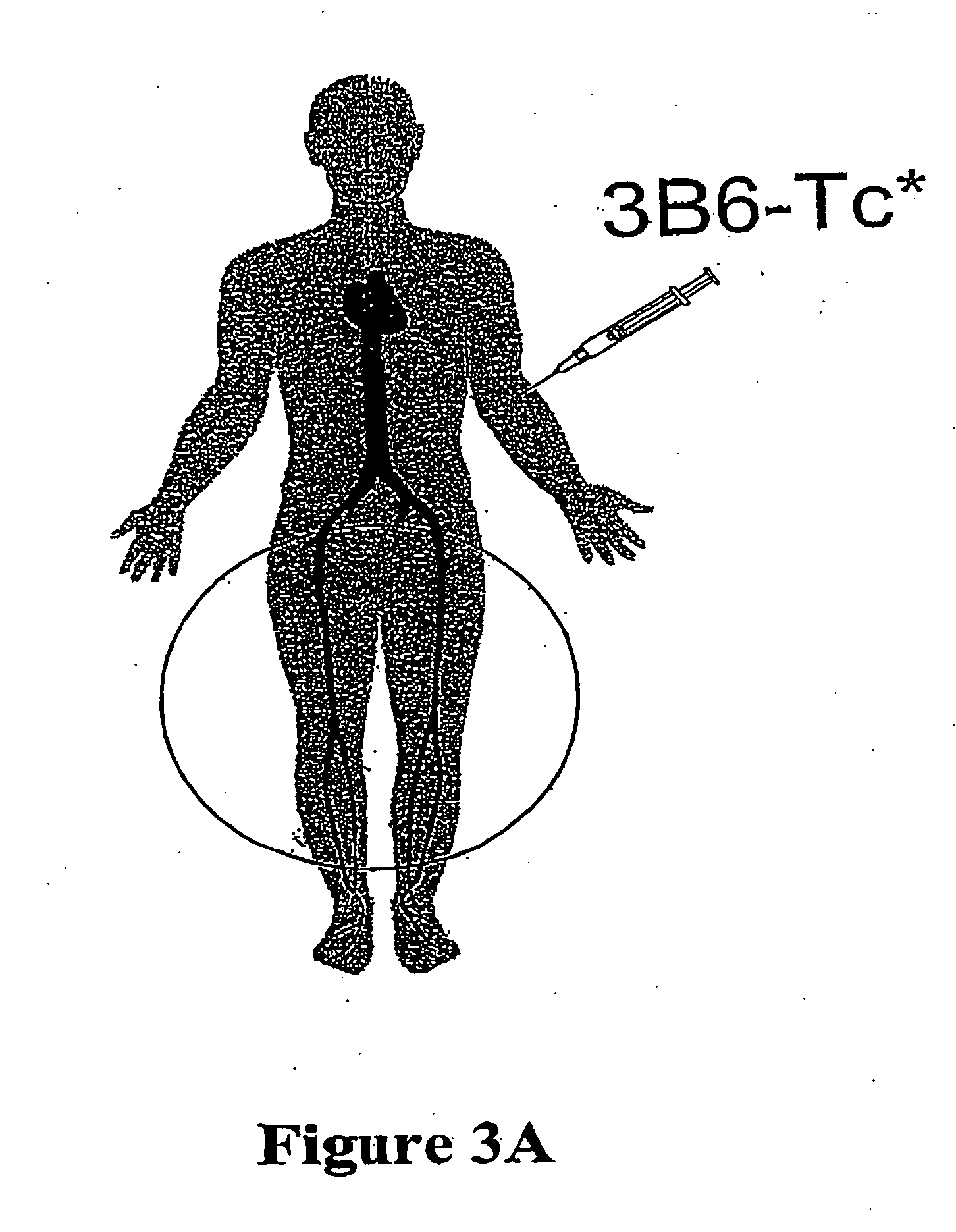 Carrier molecules