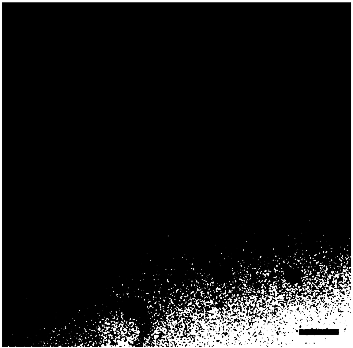 Core-shell coaxial nanofibers for repairing periodontitis bone defects, preparation method thereof and use thereof