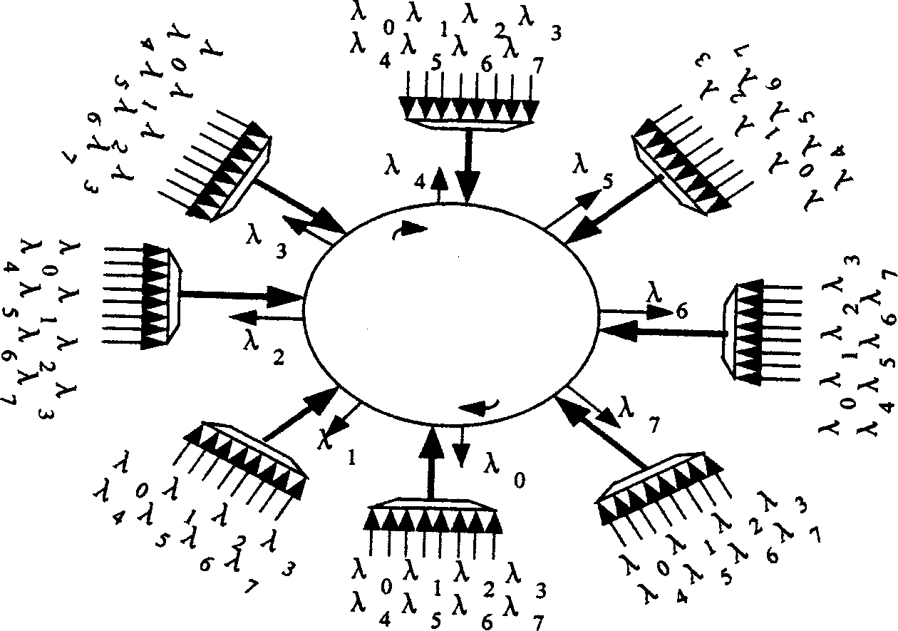 Interconnected optical fibre network systems