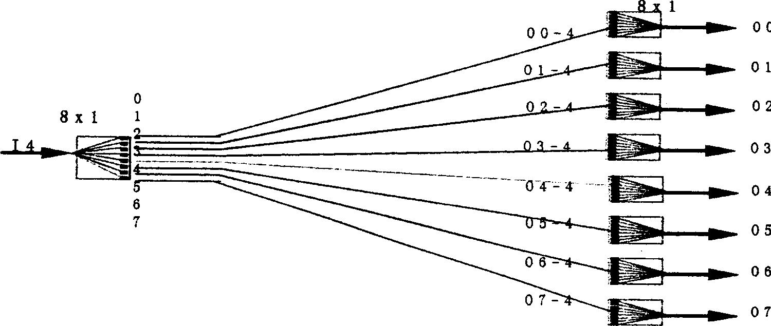 Interconnected optical fibre network systems