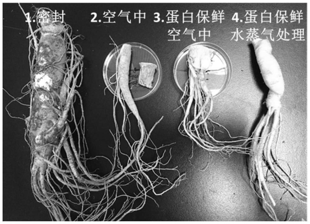 Preservation method for large traditional Chinese medicinal materials