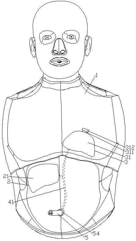 Newborn suffocation resuscitation training device and training method