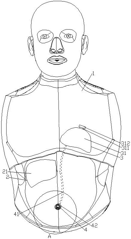 Newborn suffocation resuscitation training device and training method