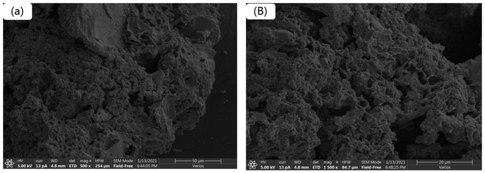 Method for preparing activated carbon by using betel nuts and sludge as materials
