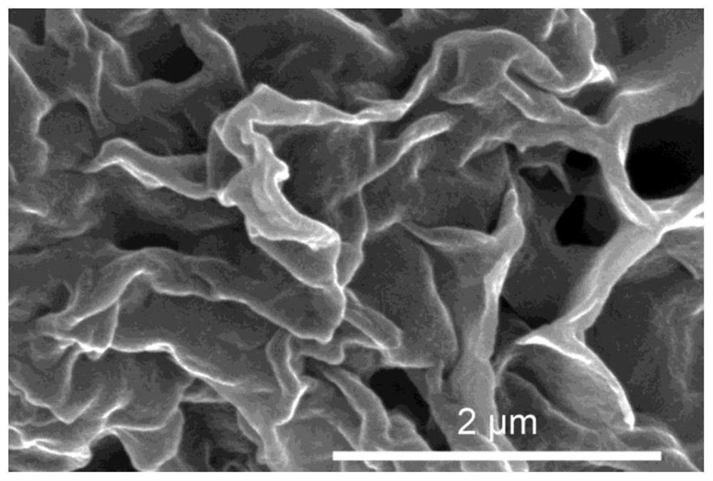 Super-hydrophobic antibacterial composite film and preparation method ...