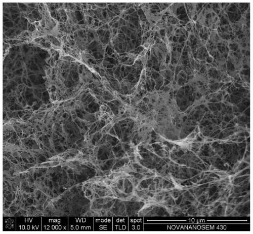 Chitosan/bacterial cellulose composite aerogel adsorbent and preparation method and application thereof