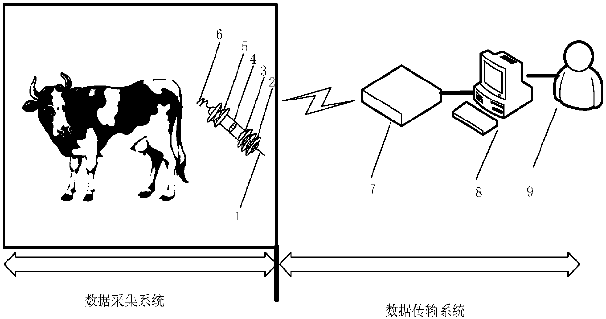 System and method for monitoring body temperature of dairy cow in real time
