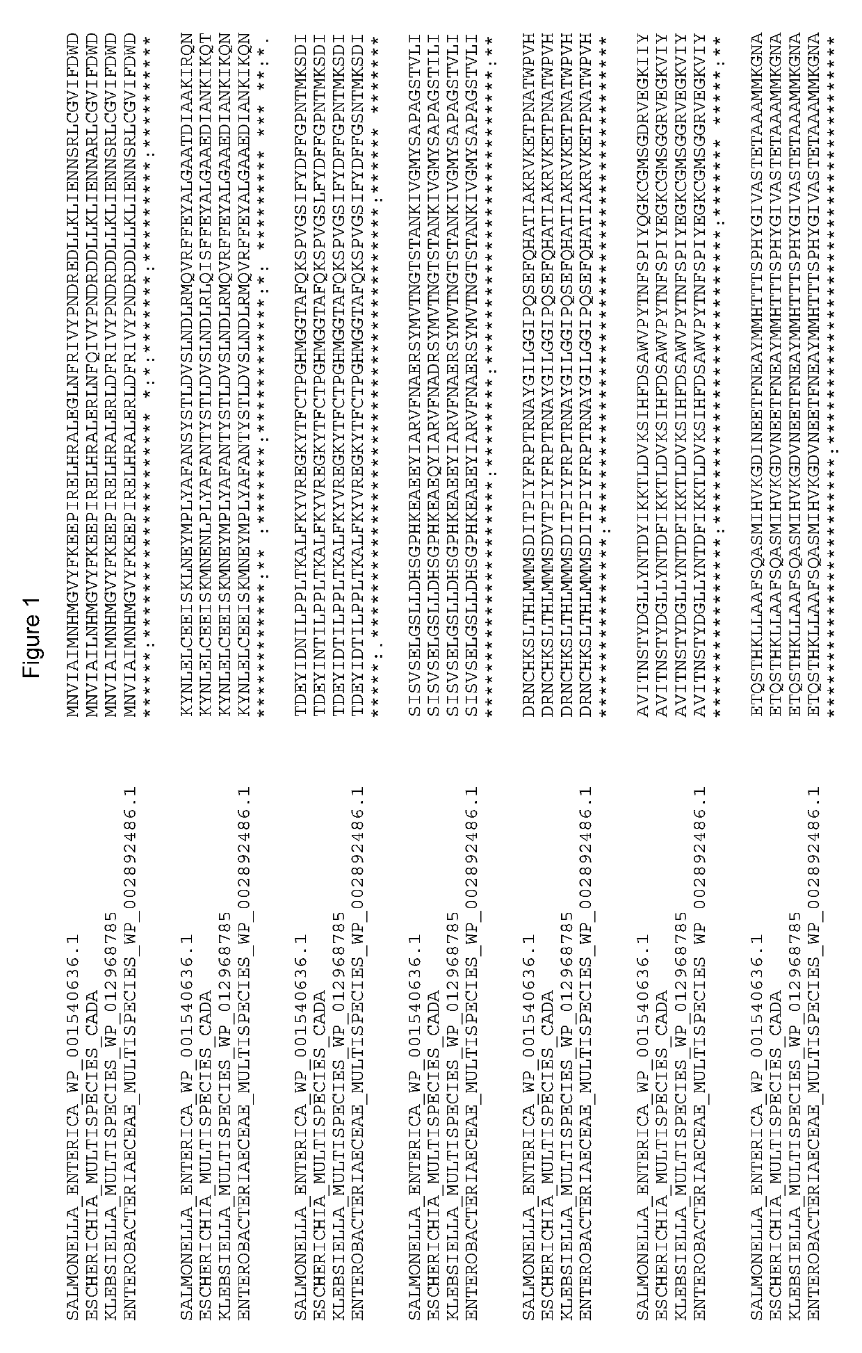 Lysine Decarboxylases having modifications At Titratable Amino Acids