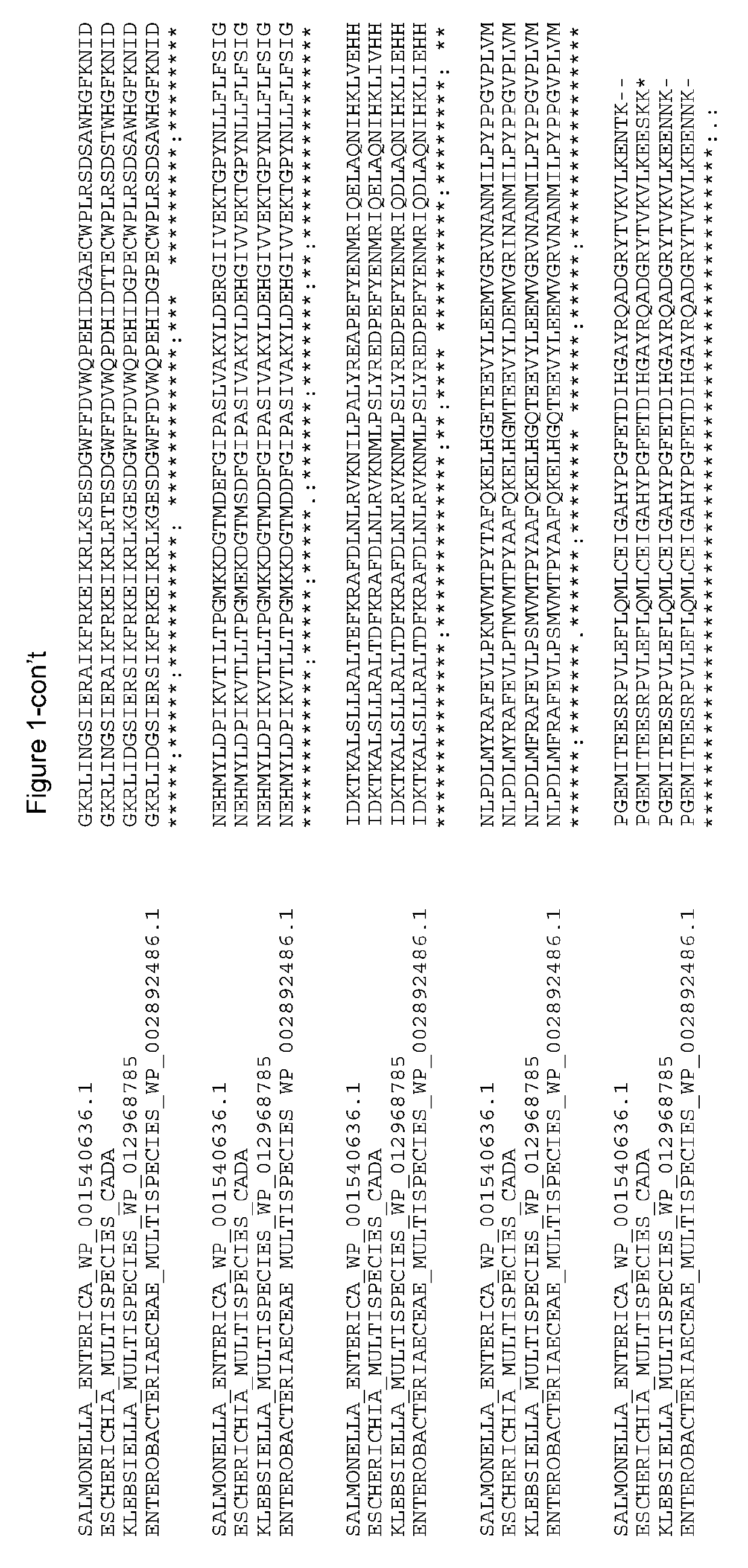 Lysine Decarboxylases having modifications At Titratable Amino Acids