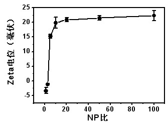 Quaternized chitosan/siRNA (small interfering Ribonucleic Acid) composite particles and preparation method thereof