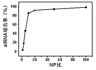 Quaternized chitosan/siRNA (small interfering Ribonucleic Acid) composite particles and preparation method thereof