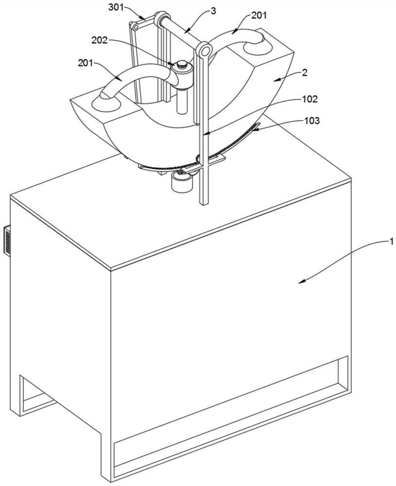 Automatic feeding device used for garment dyeing machine