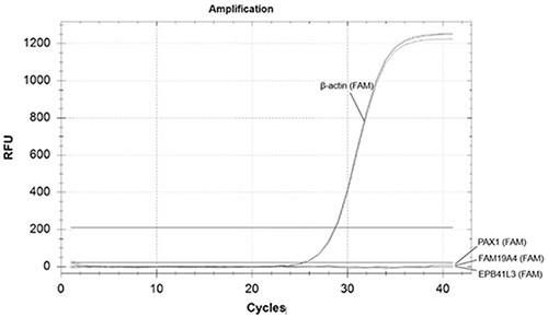 Primer and probe combination and kit for methylation detection of cervical cancer and use method of kit