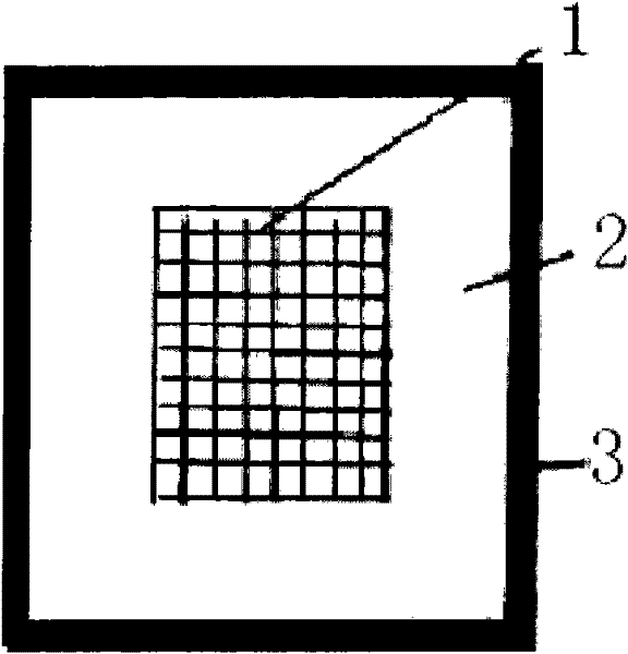 Printing screen for solar cell and method for producing solar cell
