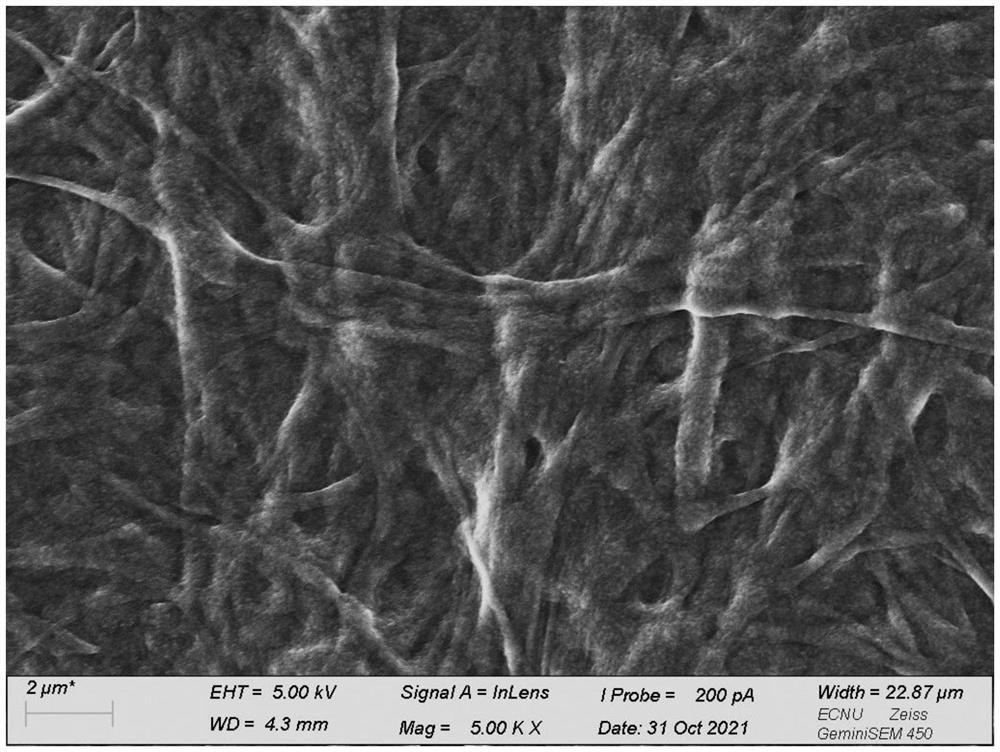 Mineralized collagen material, preparation method and application