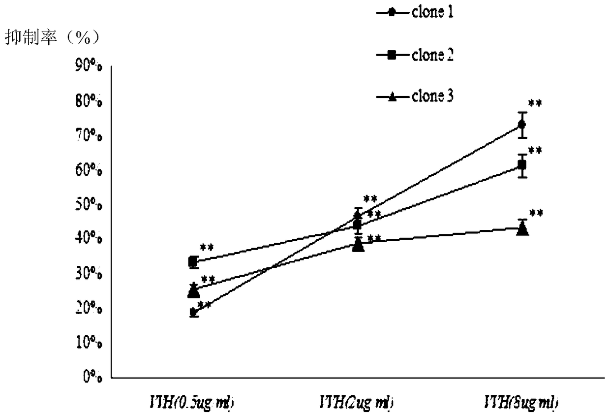 Preparation method and application of a kind of human source anti-vibrio vulnificus hemolysin protein (vvh) antibody