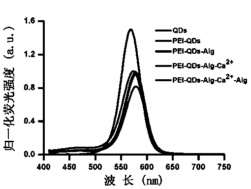Reversibly assembled and decomposable fluorescent magnetic nano material and nano biological probe and preparation methods thereof