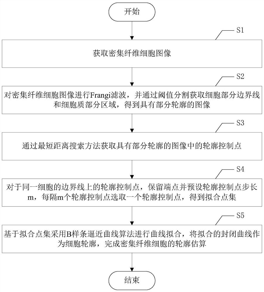 Contour estimation method of dense fibroblasts