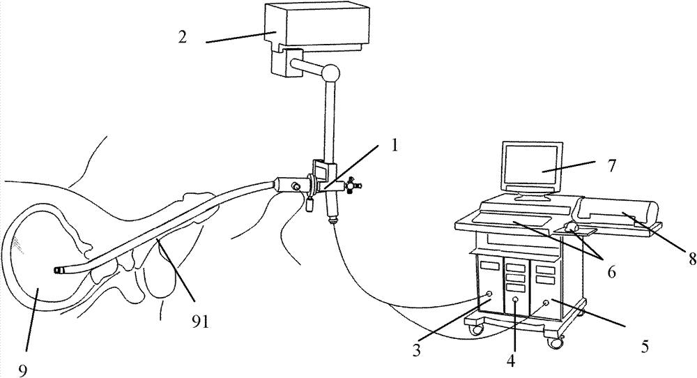 Novel three-dimensional electronic cystoscope system and use method thereof