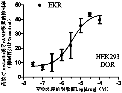 Bifurcated hybrid peptide based on endomorphin 2 and npff receptor antagonist rf9 and its synthesis method and application