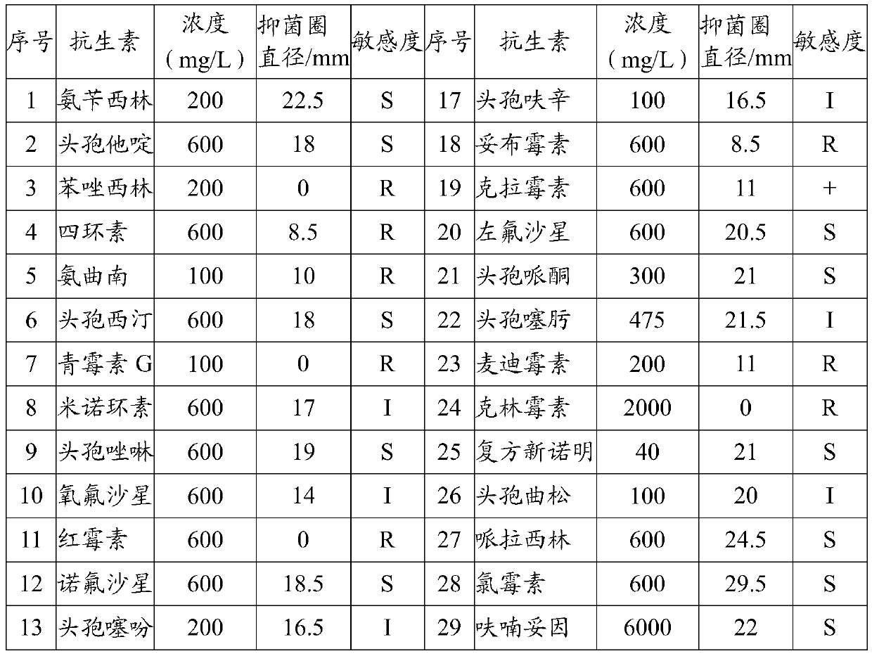 Drugs and compositions for preventing and treating hippocampal head ulcer disease