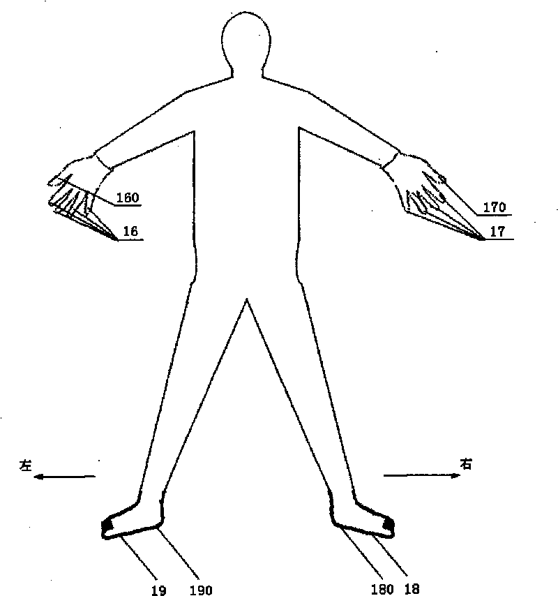 Multi-parameter human body function detecting device and detecting method thereof