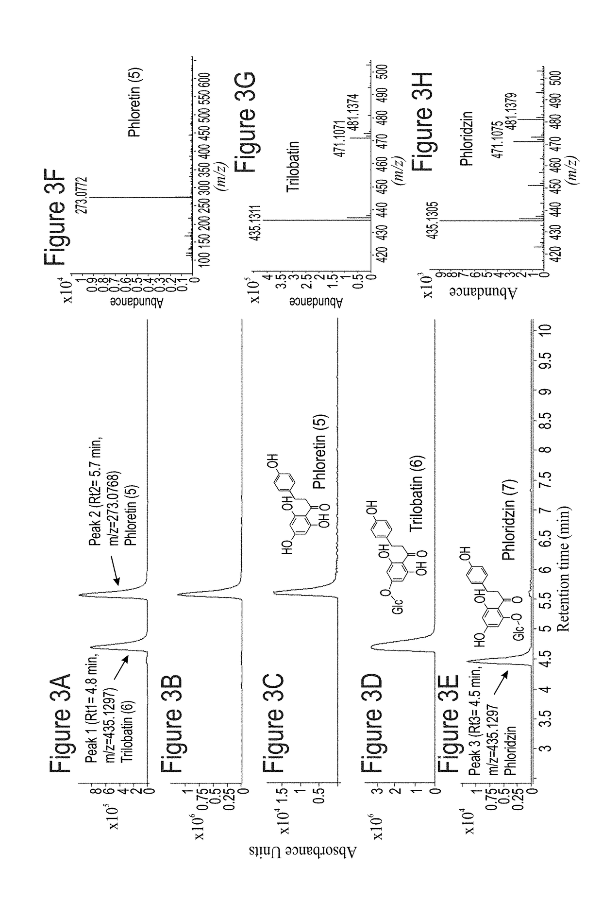 Identification and characterization of udp-glucose:phloretin 4'-o-glucosyltransferase from malus x domestica borkh