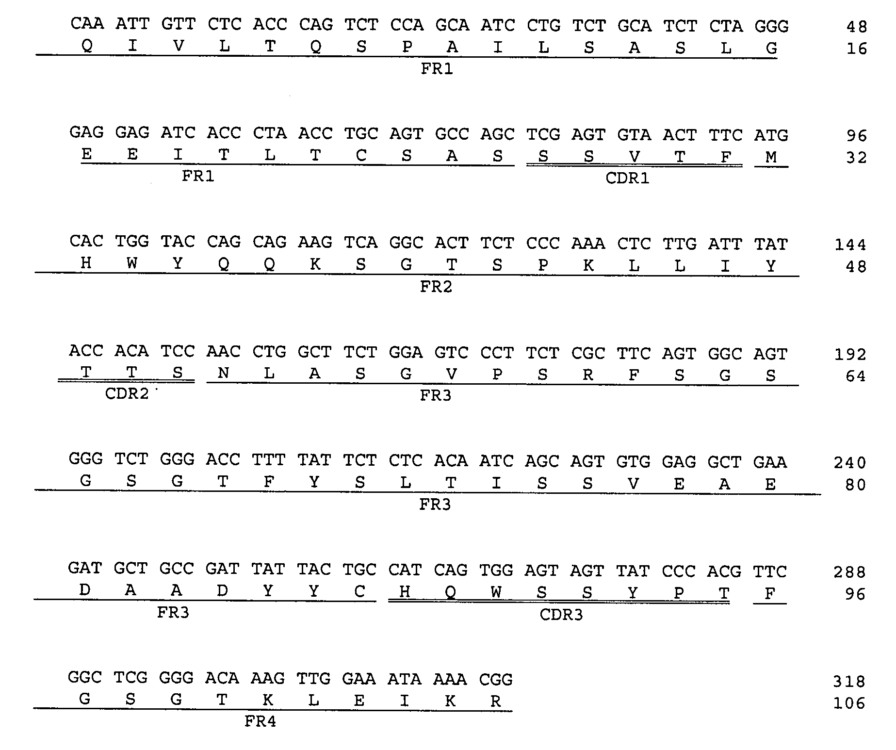 Nucleotide and protein sequences of an antibody directed against an epitope common to human acidic and basic ferritins, monoclonal antibodies or antibody-like molecules comprising these sequences and uses thereof