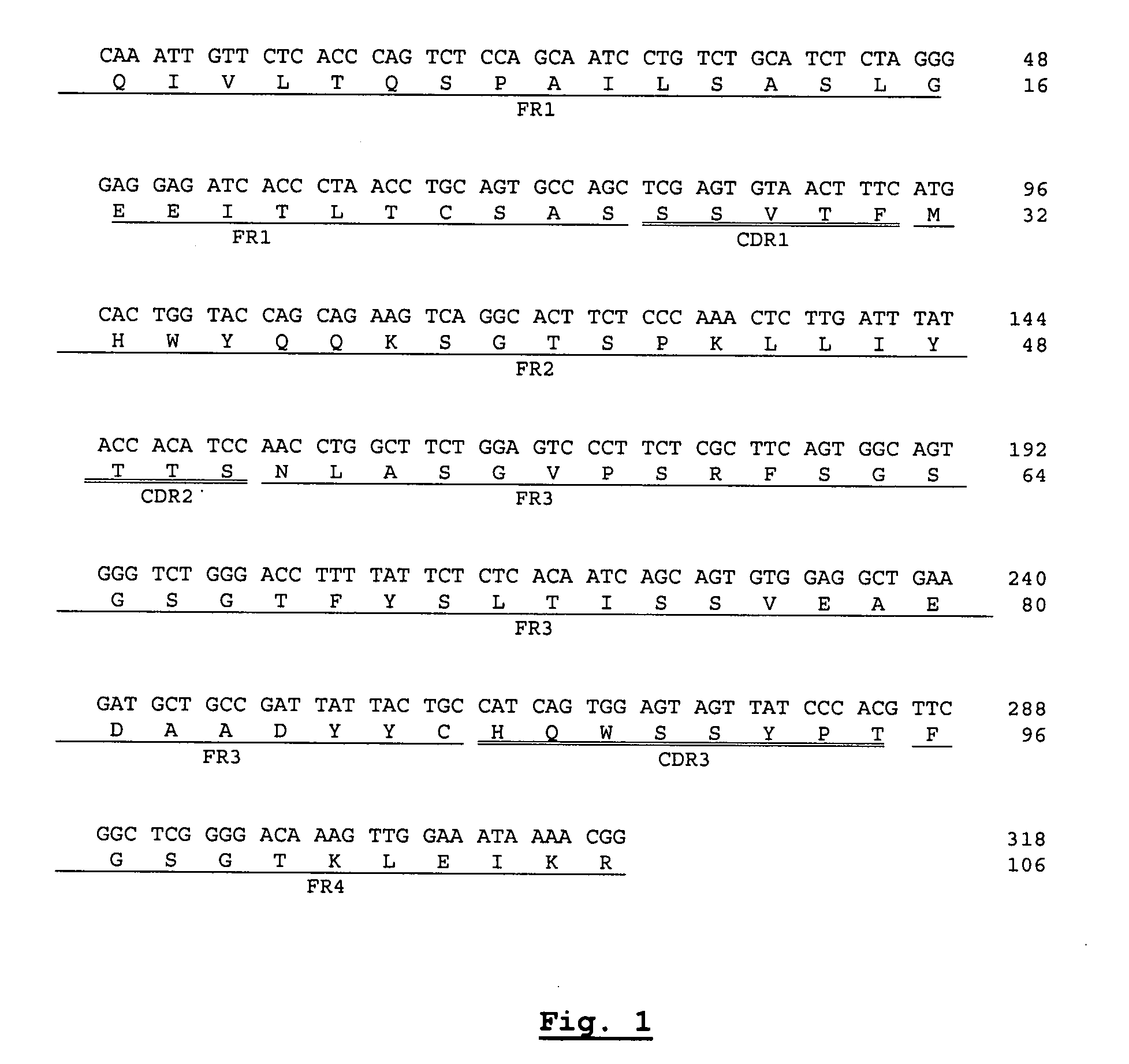 Nucleotide and protein sequences of an antibody directed against an epitope common to human acidic and basic ferritins, monoclonal antibodies or antibody-like molecules comprising these sequences and uses thereof