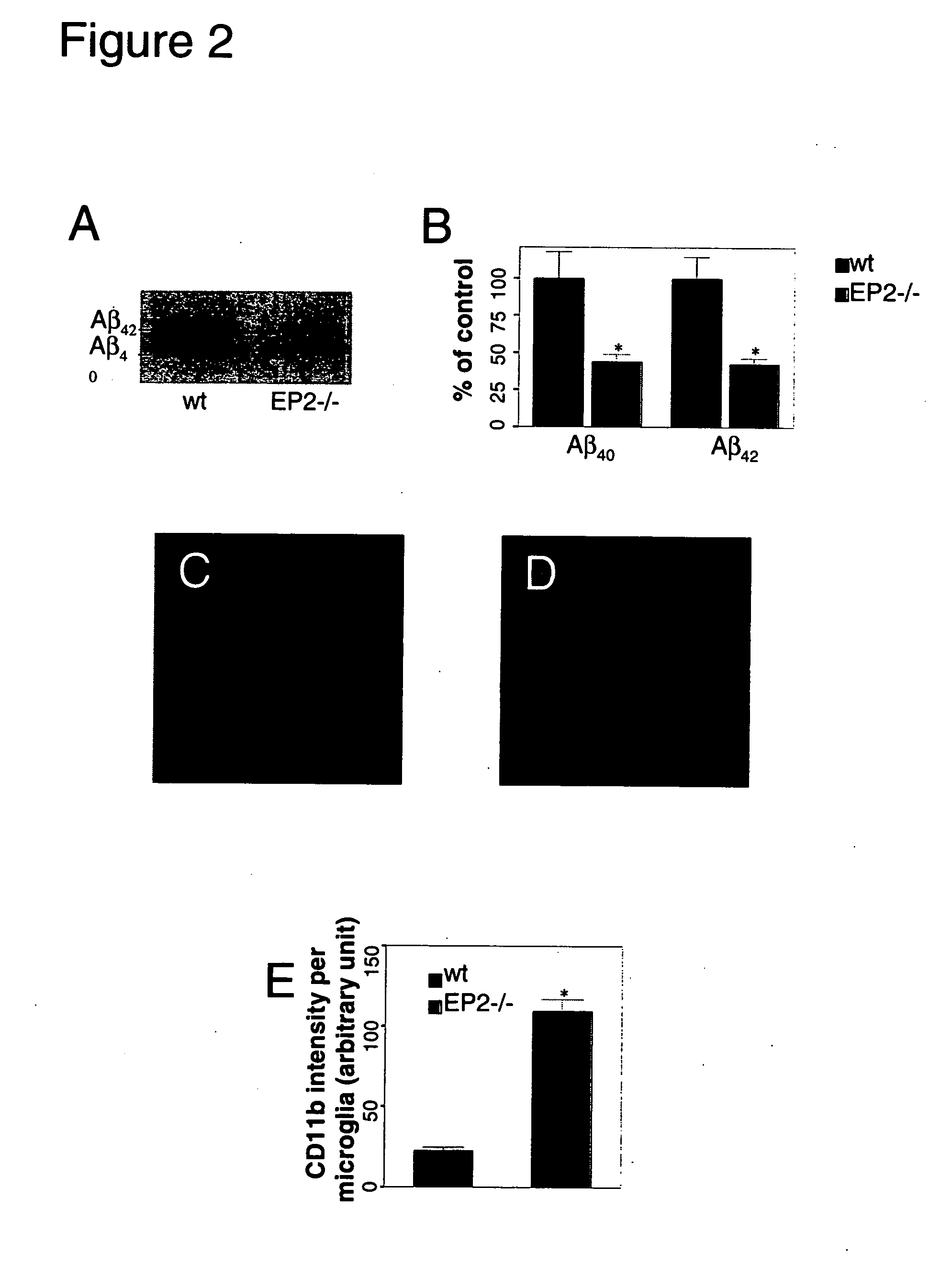Methods and compositions for the treatment of neurological diseases and disorders