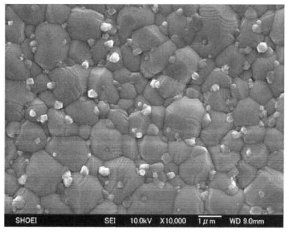 Dielectric ceramic composition and ceramic electronic component