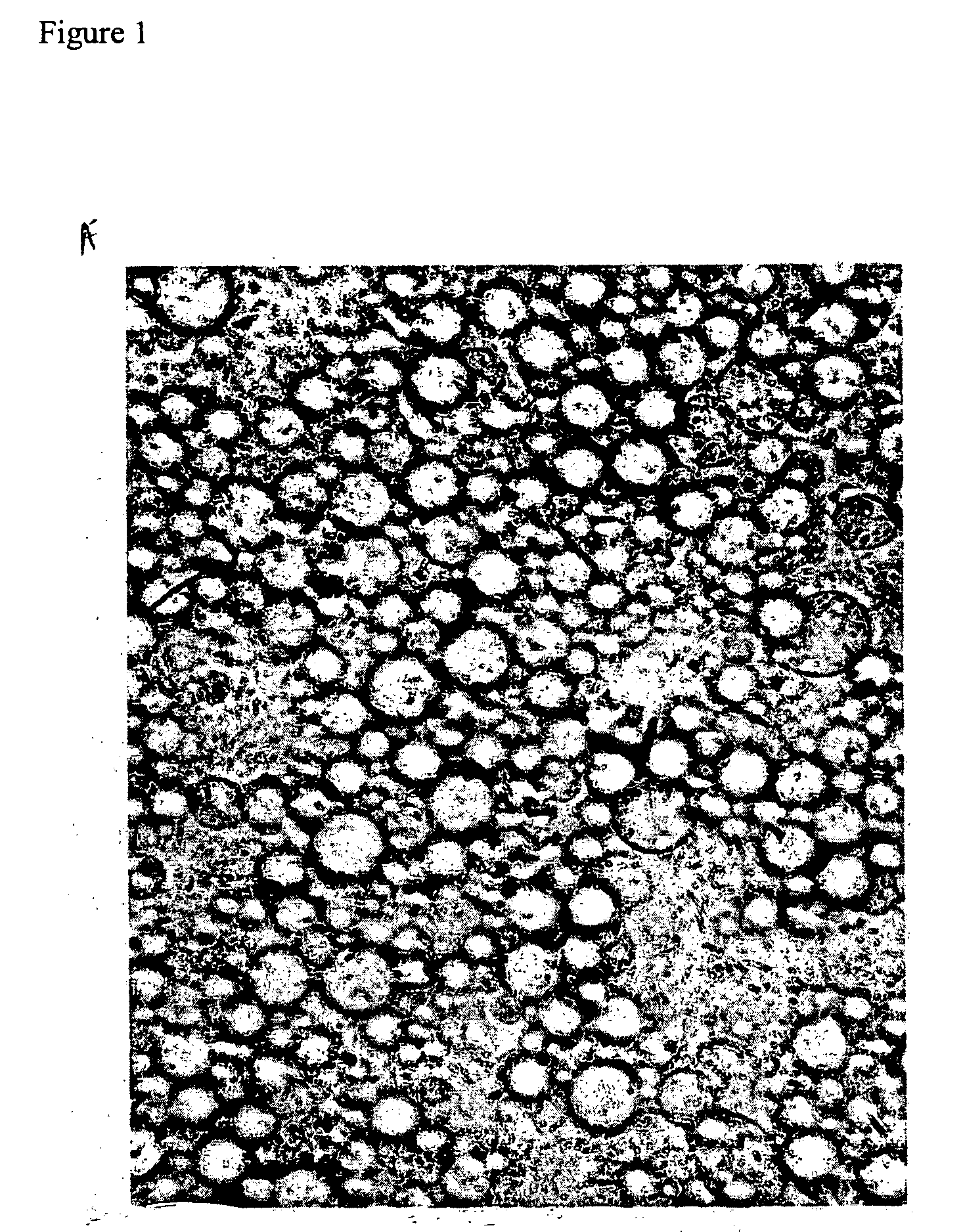 Process of producing microcapsules and product thereof