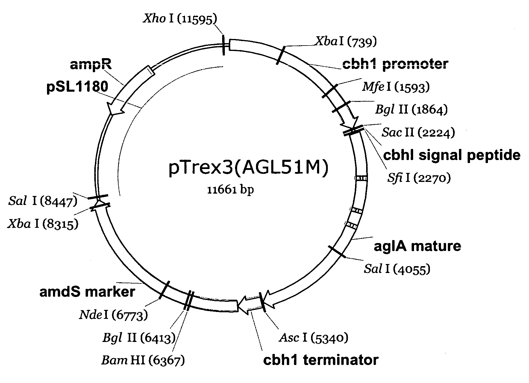 Cleaning compositions comprising transglucosidase