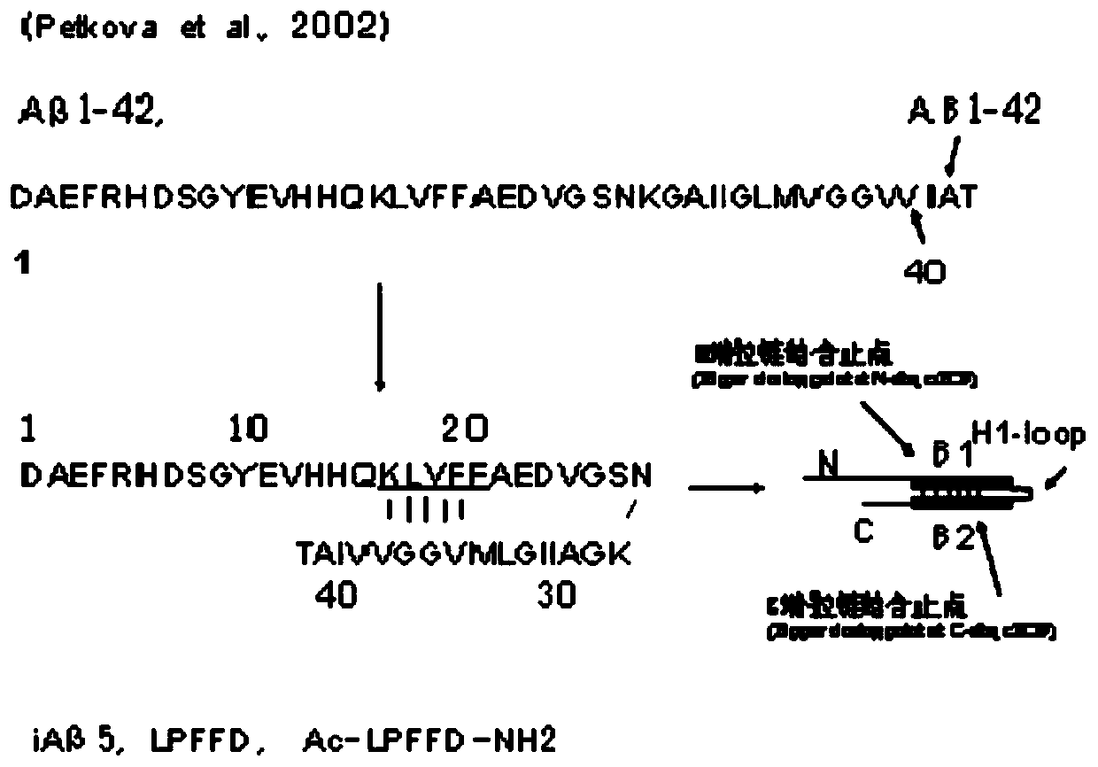 Polypeptide drug for treatment of alzheimer's disease