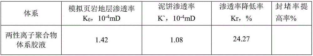 Evaluation mud cake for shale water-based drilling fluid blocking performance and preparation method