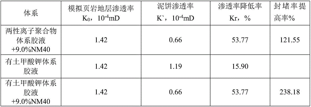 Evaluation mud cake for shale water-based drilling fluid blocking performance and preparation method