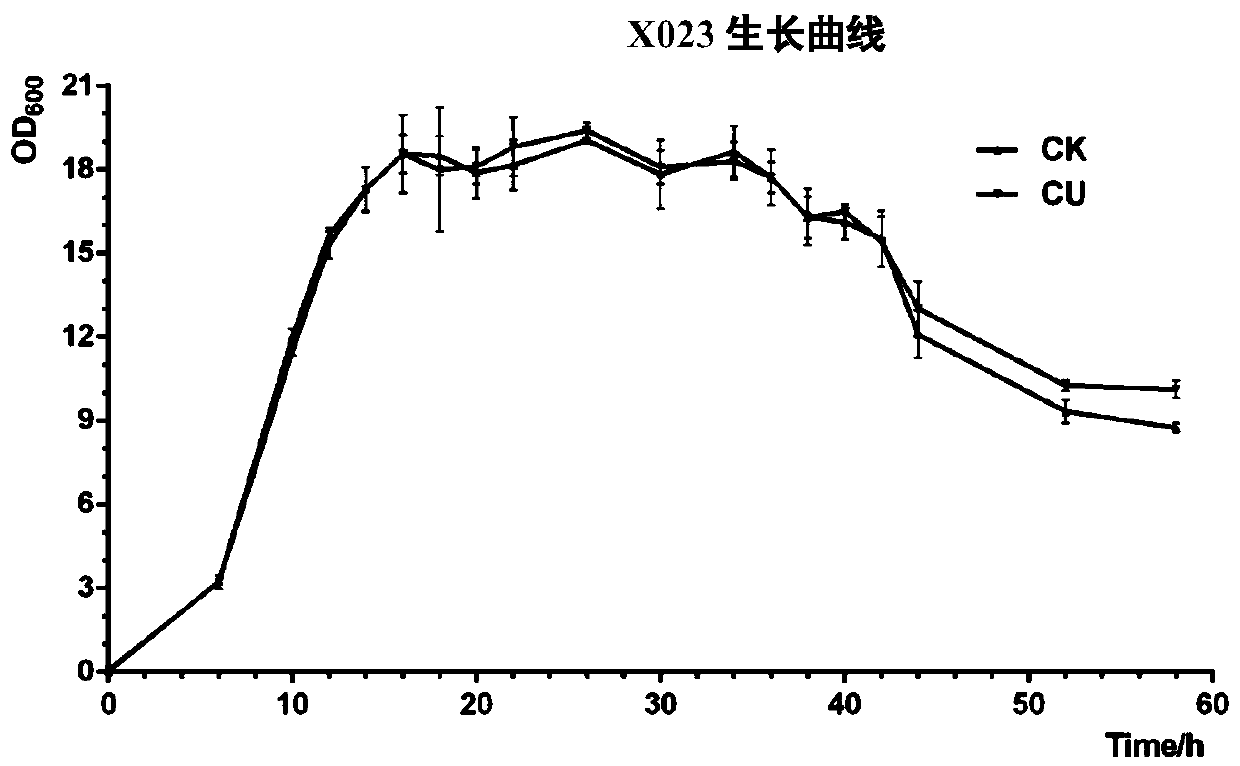 Cu2&lt;+&gt; enhanced Bacillus thuringiensis (Bt) insecticidal activity and application thereof