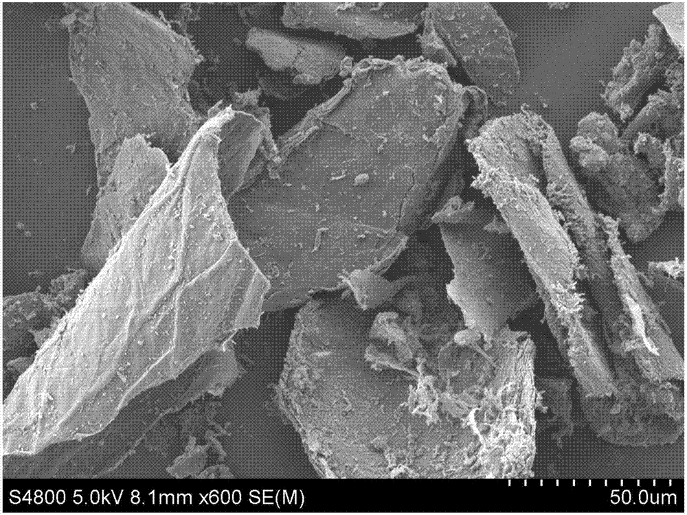 Chitin nano crystal whisker, chitin nanofiber and preparation method thereof
