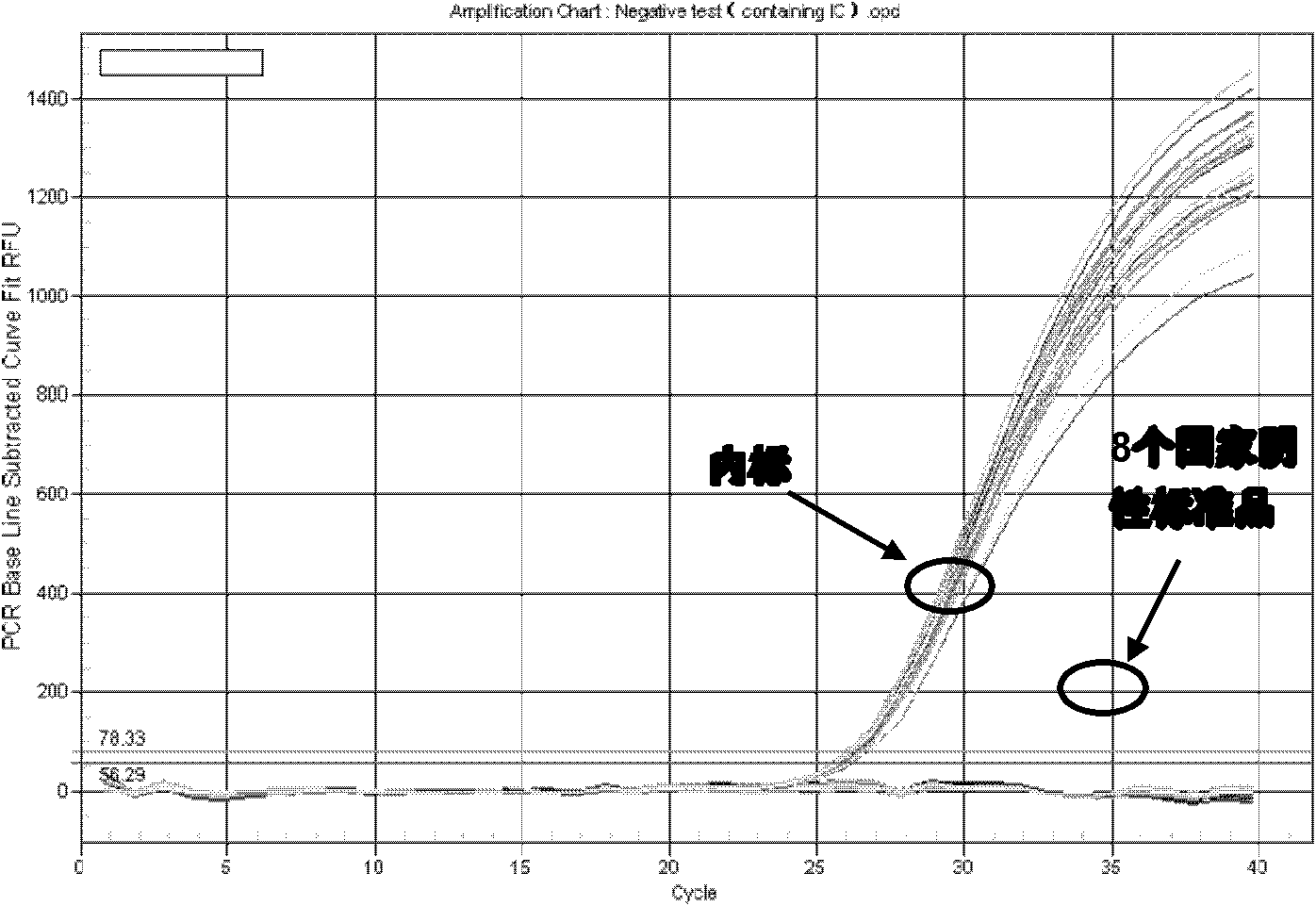 Kit and detection method for rapid quantitative detection of hepatitis virus nucleic acid