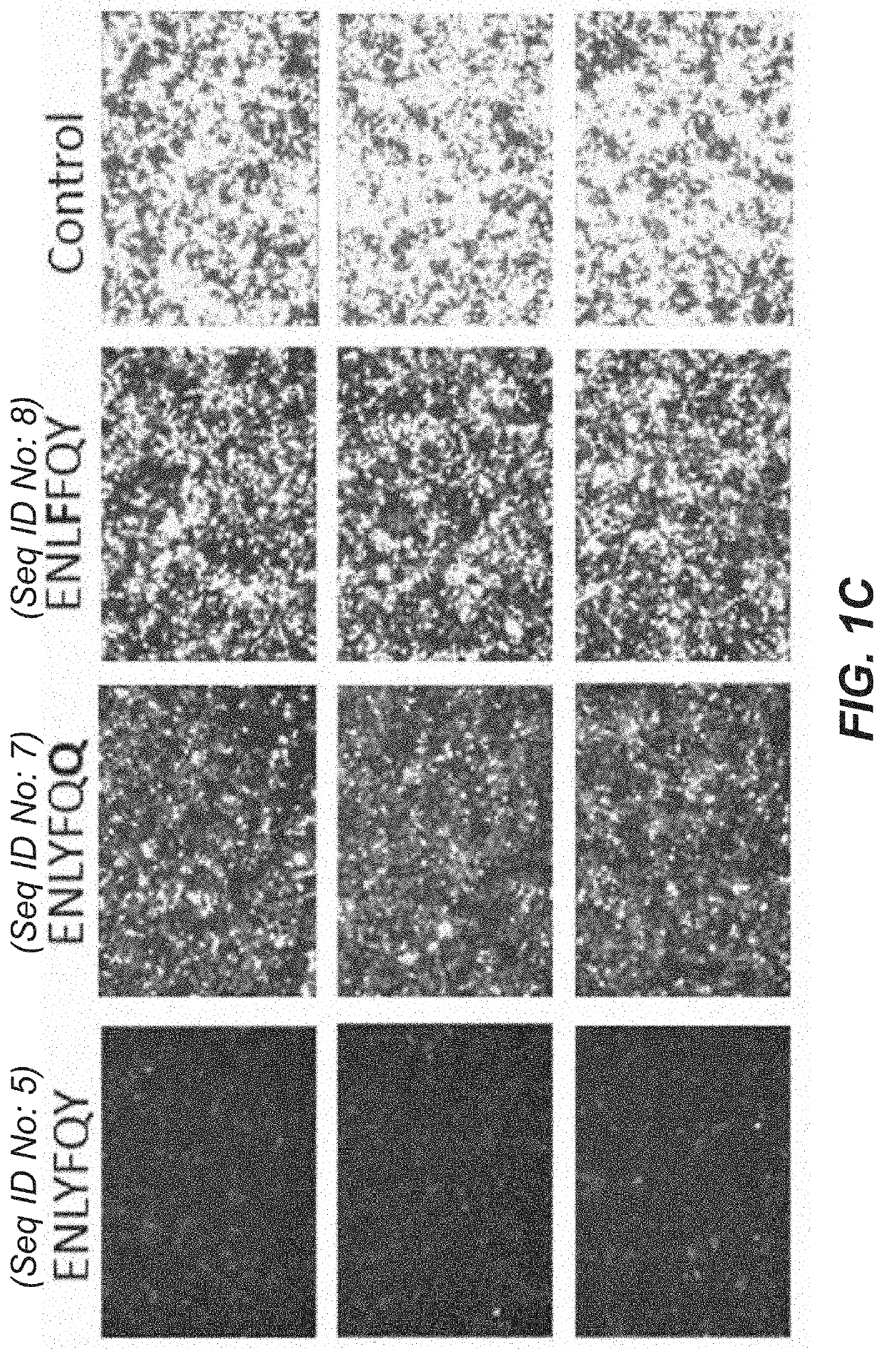 Method for robust control of gene expression