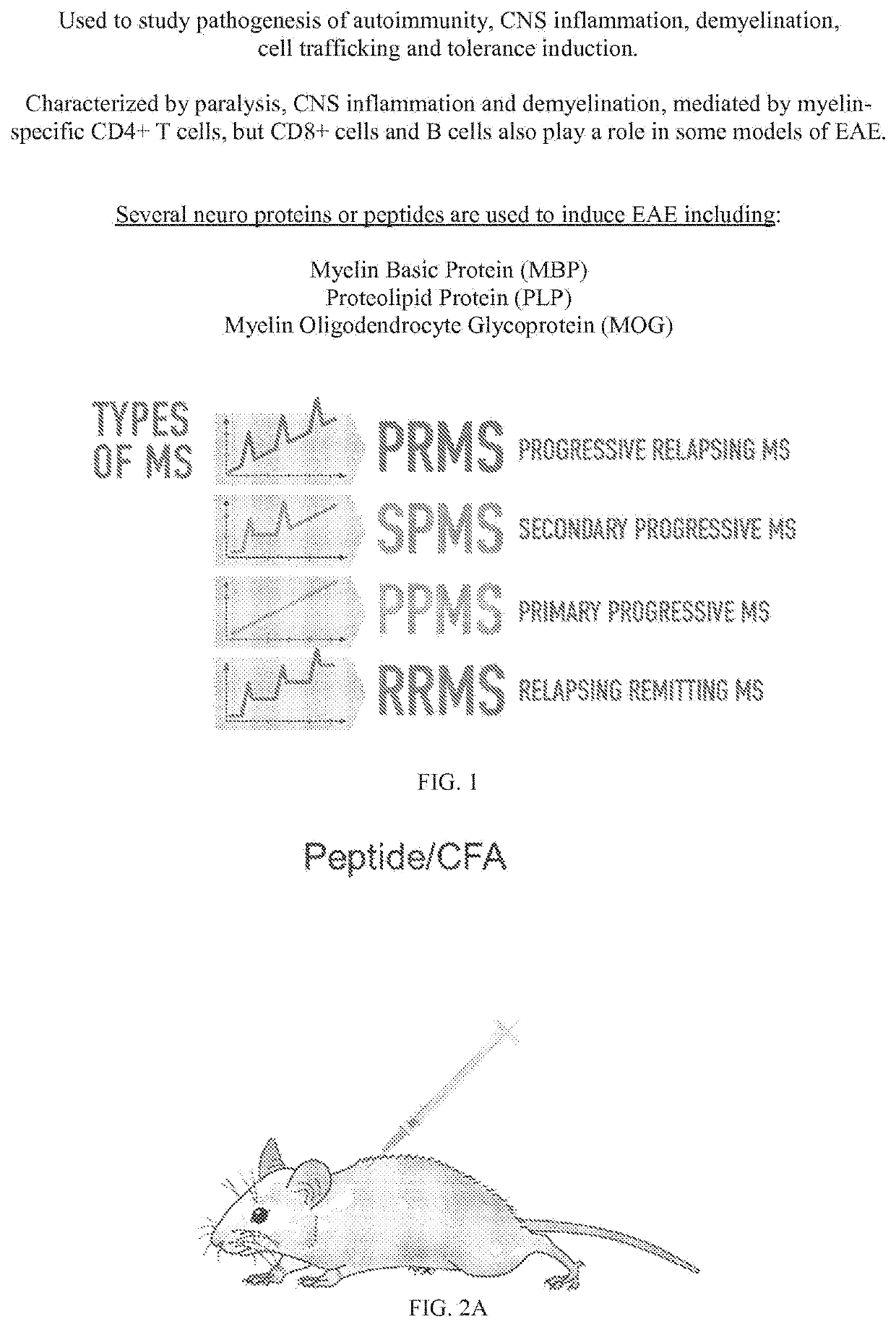 Aav-based gene therapy for multiple sclerosis